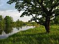 Нажмите на изображение для увеличения.

Название:	Resize of IMG_9331.jpg
Просмотров:	697
Размер:	138.3 Кб
ID:	3340172