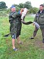 Нажмите на изображение для увеличения.

Название:	som.jpg
Просмотров:	1412
Размер:	233.2 Кб
ID:	3341149