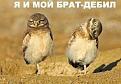 Нажмите на изображение для увеличения.

Название:	1207687953_540-9f554d00.jpg
Просмотров:	1411
Размер:	16.9 Кб
ID:	3342044