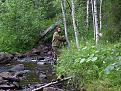 Нажмите на изображение для увеличения.

Название:	ручеек.jpg
Просмотров:	1287
Размер:	269.6 Кб
ID:	3342371