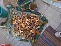 Нажмите на изображение для увеличения.

Название:	грибы2.jpg
Просмотров:	1035
Размер:	191.1 Кб
ID:	3342618