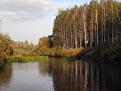 Нажмите на изображение для увеличения.

Название:	IMG_1401.JPG
Просмотров:	349
Размер:	90.5 Кб
ID:	3343573
