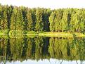 Нажмите на изображение для увеличения.

Название:	IMG_0675.jpg
Просмотров:	251
Размер:	112.8 Кб
ID:	3343639
