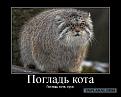 Нажмите на изображение для увеличения.

Название:	cat.jpg
Просмотров:	1299
Размер:	46.2 Кб
ID:	3343884