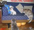 Нажмите на изображение для увеличения.

Название:	11111.jpg
Просмотров:	1338
Размер:	50.0 Кб
ID:	3344002