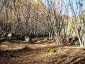 Нажмите на изображение для увеличения.

Название:	DSC03490.JPG
Просмотров:	1114
Размер:	227.0 Кб
ID:	3344044