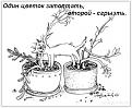 Нажмите на изображение для увеличения.

Название:	cats_14.jpg
Просмотров:	442
Размер:	43.3 Кб
ID:	3344958