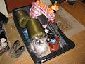Нажмите на изображение для увеличения.

Название:	IMG_0059.jpg
Просмотров:	5575
Размер:	39.3 Кб
ID:	3346038