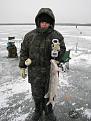 Нажмите на изображение для увеличения.

Название:	IMG_0090.jpg
Просмотров:	5574
Размер:	38.4 Кб
ID:	3346052