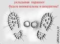 Нажмите на изображение для увеличения.

Название:	7.jpg
Просмотров:	433
Размер:	34.7 Кб
ID:	3346342