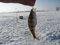 Нажмите на изображение для увеличения.

Название:	IMG_2074.jpg
Просмотров:	527
Размер:	235.0 Кб
ID:	3347761