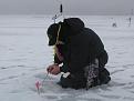 Нажмите на изображение для увеличения.

Название:	Day1-27-Fishing.jpg
Просмотров:	380
Размер:	106.2 Кб
ID:	3347908