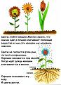 Нажмите на изображение для увеличения.

Название:	post-3-12358230856749.jpg
Просмотров:	370
Размер:	44.9 Кб
ID:	3348961
