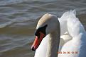 Нажмите на изображение для увеличения.

Название:	DSC_1246.JPG
Просмотров:	710
Размер:	36.9 Кб
ID:	3350931