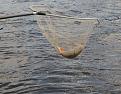 Нажмите на изображение для увеличения.

Название:	2009-04-18-07.jpg
Просмотров:	1477
Размер:	117.5 Кб
ID:	3351661