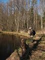 Нажмите на изображение для увеличения.

Название:	River I.jpg
Просмотров:	1294
Размер:	198.0 Кб
ID:	3352085