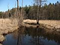 Нажмите на изображение для увеличения.

Название:	River III.jpg
Просмотров:	1235
Размер:	98.6 Кб
ID:	3352087