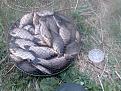 Нажмите на изображение для увеличения.

Название:	улов 9 мая.jpg
Просмотров:	1034
Размер:	204.6 Кб
ID:	3352587
