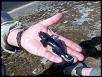 Нажмите на изображение для увеличения.

Название:	Фото1.jpg
Просмотров:	979
Размер:	131.9 Кб
ID:	3352729