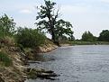 Нажмите на изображение для увеличения.

Название:	IMG_6235 (600 x 450).jpg
Просмотров:	789
Размер:	41.8 Кб
ID:	3353674