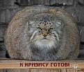 Нажмите на изображение для увеличения.

Название:	222.jpg
Просмотров:	1154
Размер:	53.9 Кб
ID:	3354203