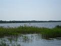 Нажмите на изображение для увеличения.

Название:	IMG_0605 (Small).jpg
Просмотров:	5957
Размер:	39.3 Кб
ID:	3354614