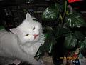 Нажмите на изображение для увеличения.

Название:	IMG_0029.jpg
Просмотров:	476
Размер:	156.7 Кб
ID:	3354898