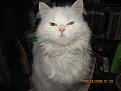 Нажмите на изображение для увеличения.

Название:	IMG_0032.jpg
Просмотров:	449
Размер:	155.7 Кб
ID:	3354899