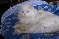Нажмите на изображение для увеличения.

Название:	IMG_9164.jpg
Просмотров:	441
Размер:	183.7 Кб
ID:	3354900