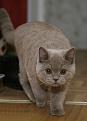 Нажмите на изображение для увеличения.

Название:	IMG_6692-800.jpg
Просмотров:	529
Размер:	48.6 Кб
ID:	3355480