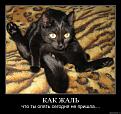 Нажмите на изображение для увеличения.

Название:	s3img_4987759_26937_1.jpg
Просмотров:	1589
Размер:	66.2 Кб
ID:	3356995