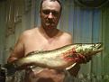 Нажмите на изображение для увеличения.

Название:	DSC00416.jpg
Просмотров:	1351
Размер:	185.3 Кб
ID:	3357759