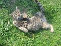 Нажмите на изображение для увеличения.

Название:	IMG_5829.jpg
Просмотров:	813
Размер:	127.1 Кб
ID:	3358444