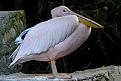 Нажмите на изображение для увеличения.

Название:	IMG_7172.JPG
Просмотров:	353
Размер:	90.4 Кб
ID:	3360218