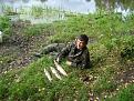 Нажмите на изображение для увеличения.

Название:	DSC01625.jpg
Просмотров:	1689
Размер:	190.1 Кб
ID:	3360281