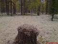 Нажмите на изображение для увеличения.

Название:	DSC00001.jpg
Просмотров:	728
Размер:	103.8 Кб
ID:	3360754