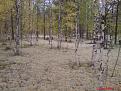 Нажмите на изображение для увеличения.

Название:	DSC00002.jpg
Просмотров:	768
Размер:	121.5 Кб
ID:	3360755