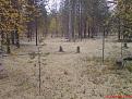 Нажмите на изображение для увеличения.

Название:	DSC00005.jpg
Просмотров:	761
Размер:	121.7 Кб
ID:	3360756