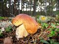 Нажмите на изображение для увеличения.

Название:	IMG_1981.jpg
Просмотров:	528
Размер:	189.6 Кб
ID:	3360976