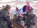 Нажмите на изображение для увеличения.

Название:	IMG_0063_resize.JPG
Просмотров:	673
Размер:	109.8 Кб
ID:	3361901