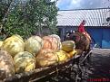Нажмите на изображение для увеличения.

Название:	DSC00394.jpg
Просмотров:	6952
Размер:	201.1 Кб
ID:	3362942