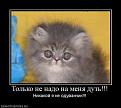 Нажмите на изображение для увеличения.

Название:	235844_tolko-ne-nado-na-menya-dut.thumbnail.jpg
Просмотров:	414
Размер:	12.0 Кб
ID:	3362996