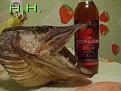 Нажмите на изображение для увеличения.

Название:	shark 1.jpg
Просмотров:	655
Размер:	136.8 Кб
ID:	3363031