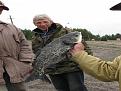 Нажмите на изображение для увеличения.

Название:	монастырь 108.jpg
Просмотров:	1411
Размер:	148.5 Кб
ID:	3363139