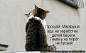Нажмите на изображение для увеличения.

Название:	325315_315667.jpg
Просмотров:	1435
Размер:	35.9 Кб
ID:	3363640