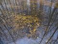 Нажмите на изображение для увеличения.

Название:	2009-11-08-1.JPG
Просмотров:	434
Размер:	169.5 Кб
ID:	3363859