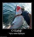 Нажмите на изображение для увеличения.

Название:	8e661b15e11b.jpg
Просмотров:	457
Размер:	20.2 Кб
ID:	3363880