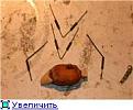 Нажмите на изображение для увеличения.

Название:	8.jpg
Просмотров:	449
Размер:	6.6 Кб
ID:	3363901