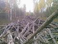 Нажмите на изображение для увеличения.

Название:	Photo-0035.jpg
Просмотров:	862
Размер:	106.3 Кб
ID:	3364205