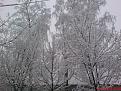 Нажмите на изображение для увеличения.

Название:	DSC00773.jpg
Просмотров:	772
Размер:	206.7 Кб
ID:	3365369